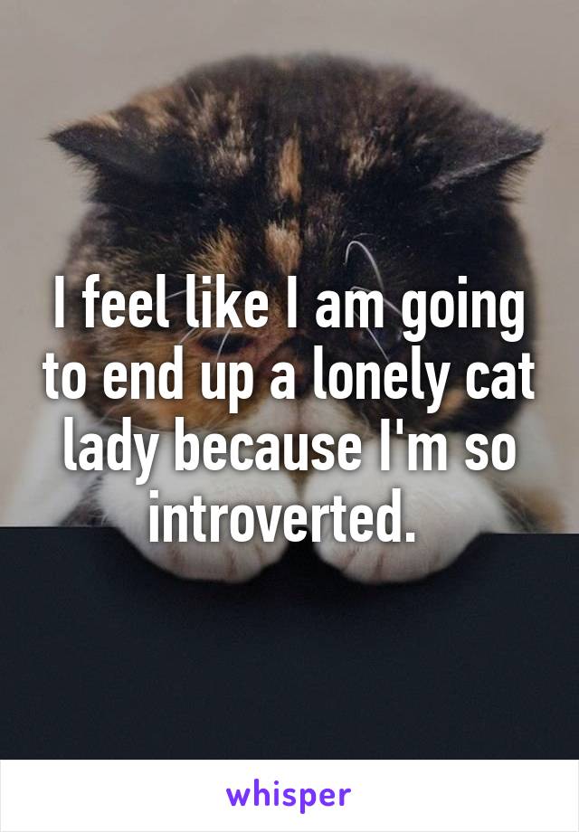 I feel like I am going to end up a lonely cat lady because I'm so introverted. 