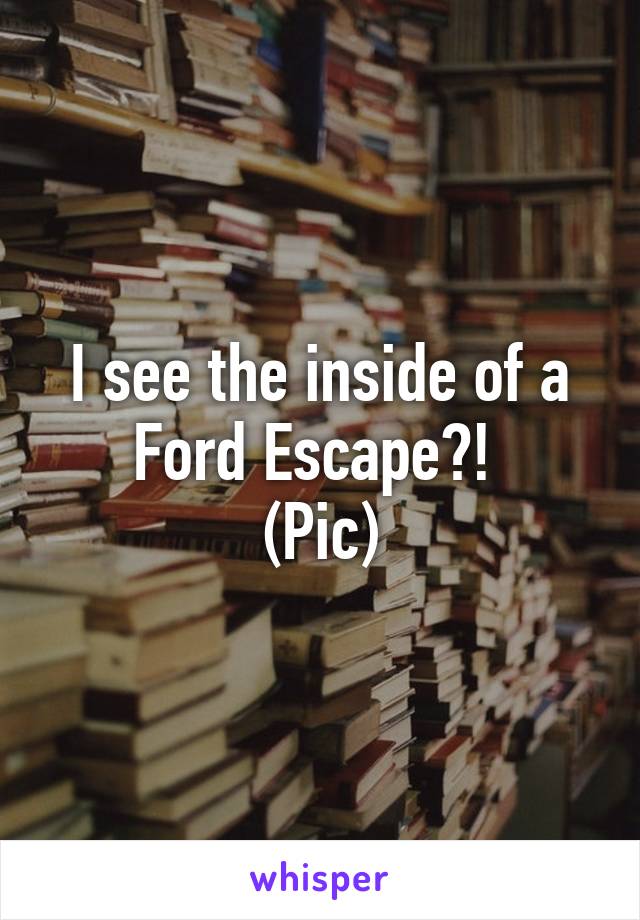 I see the inside of a Ford Escape?! 
(Pic)