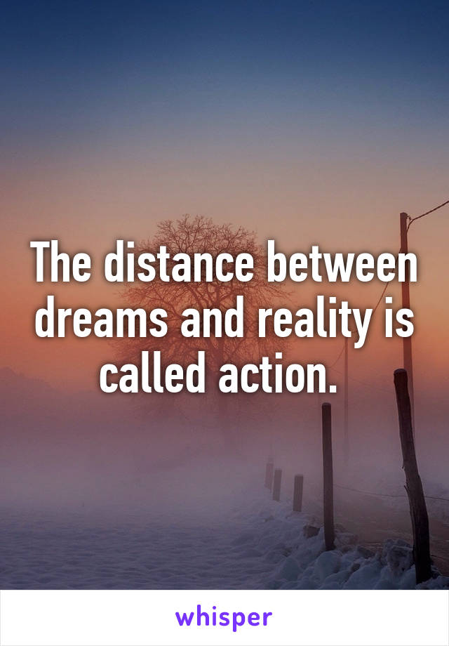 The distance between dreams and reality is called action. 