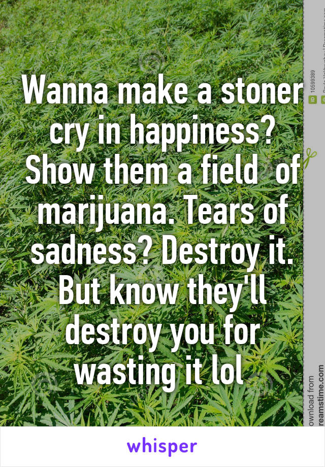 Wanna make a stoner cry in happiness? Show them a field  of marijuana. Tears of sadness? Destroy it. But know they'll destroy you for wasting it lol 