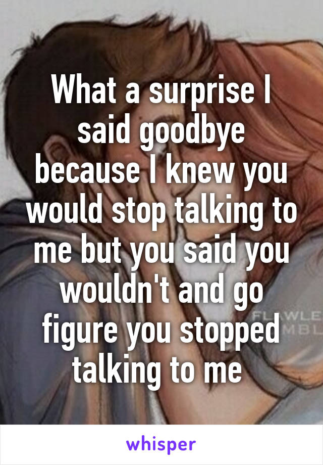 What a surprise I said goodbye because I knew you would stop talking to me but you said you wouldn't and go figure you stopped talking to me 