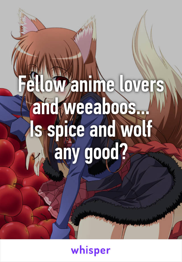 Fellow anime lovers and weeaboos...
Is spice and wolf any good?
