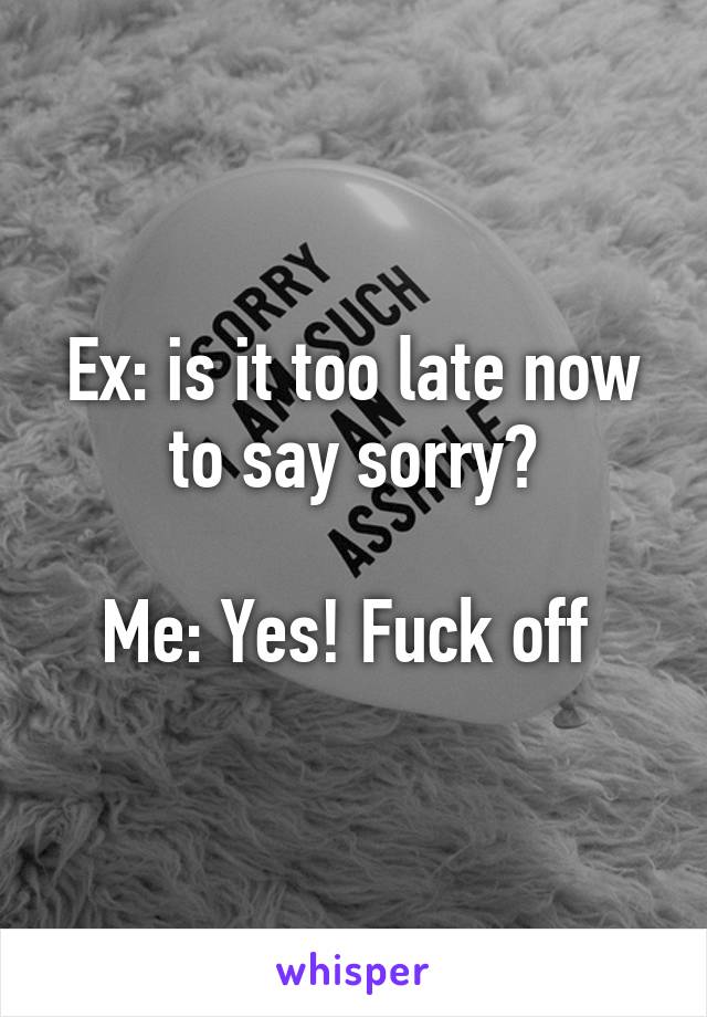 Ex: is it too late now to say sorry?

Me: Yes! Fuck off 