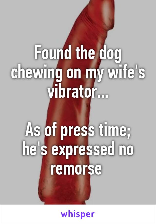 Found the dog chewing on my wife's vibrator...

As of press time; he's expressed no remorse 