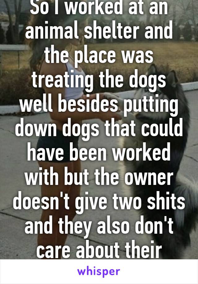 So I worked at an animal shelter and the place was treating the dogs well besides putting down dogs that could have been worked with but the owner doesn't give two shits and they also don't care about their employees.