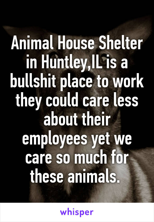 Animal House Shelter in Huntley,IL is a bullshit place to work they could care less about their employees yet we care so much for these animals. 