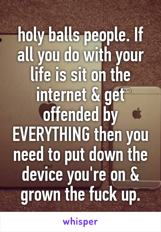 holy balls people. If all you do with your life is sit on the internet & get offended by EVERYTHING then you need to put down the device you're on & grown the fuck up.