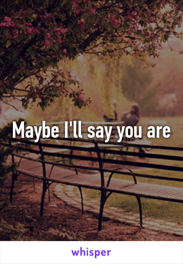 Maybe I'll say you are