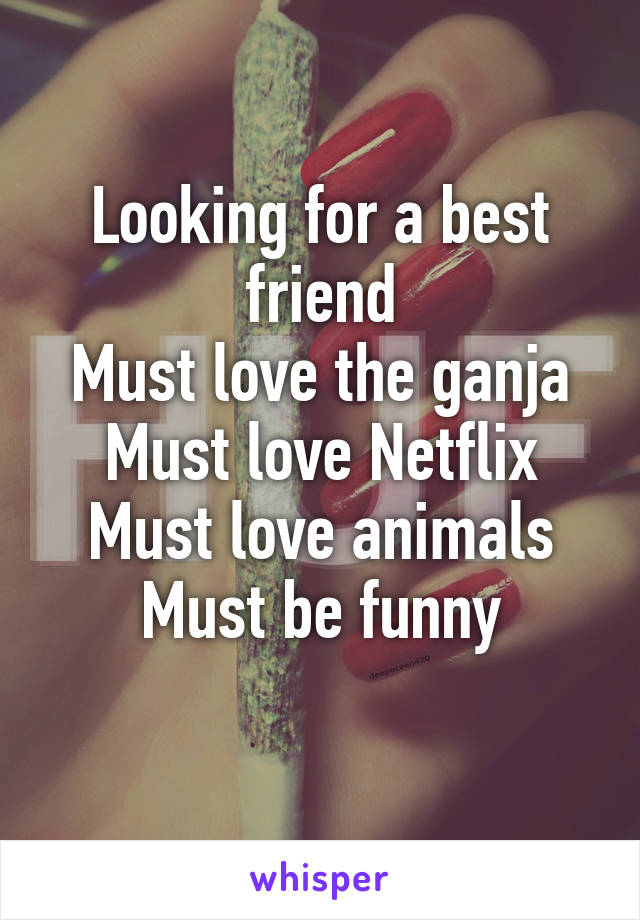 Looking for a best friend
Must love the ganja
Must love Netflix
Must love animals
Must be funny
