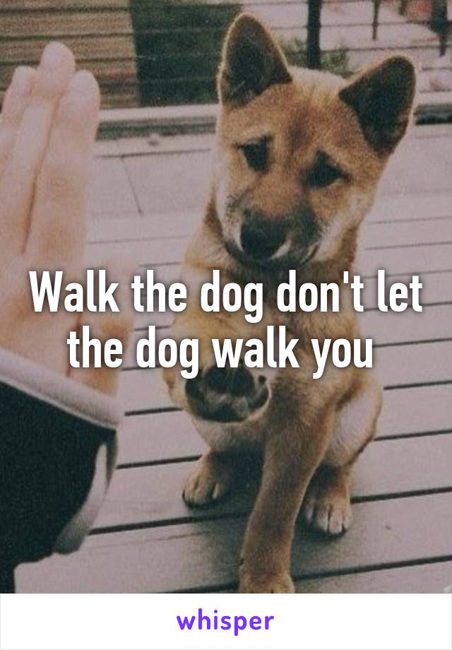 Walk the dog don't let the dog walk you 