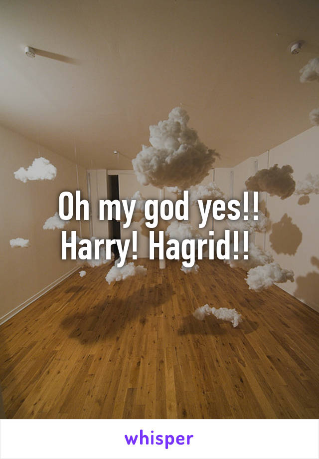 Oh my god yes!! Harry! Hagrid!! 