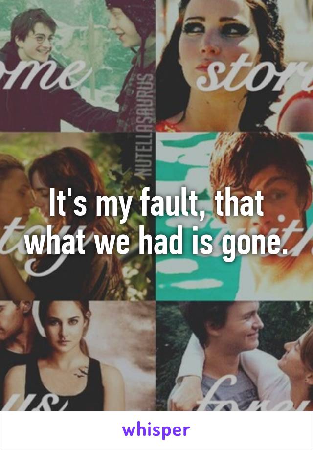 It's my fault, that what we had is gone.