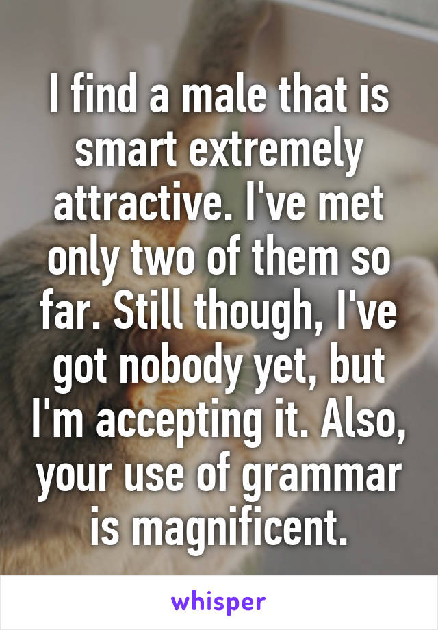 I find a male that is smart extremely attractive. I've met only two of them so far. Still though, I've got nobody yet, but I'm accepting it. Also, your use of grammar is magnificent.