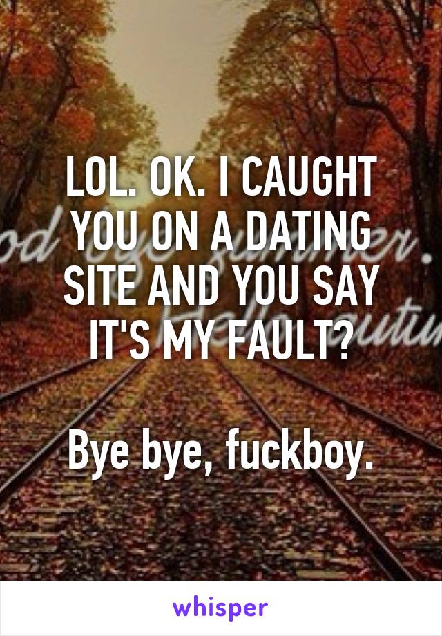 LOL. OK. I CAUGHT YOU ON A DATING SITE AND YOU SAY IT'S MY FAULT?

Bye bye, fuckboy.