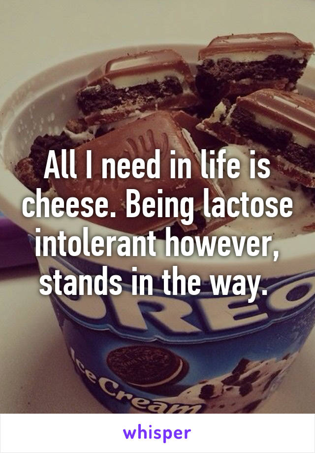 All I need in life is cheese. Being lactose intolerant however, stands in the way. 