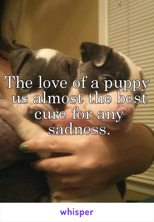 The love of a puppy us almost the best cure for any sadness.