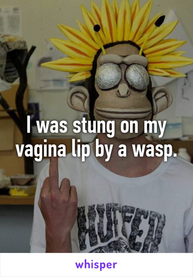 I was stung on my vagina lip by a wasp.