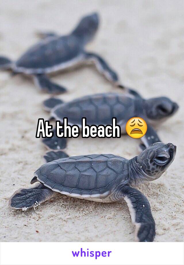 At the beach 😩