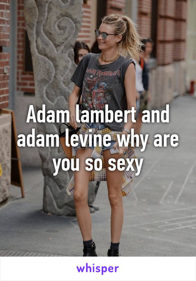 Adam lambert and adam levine why are you so sexy