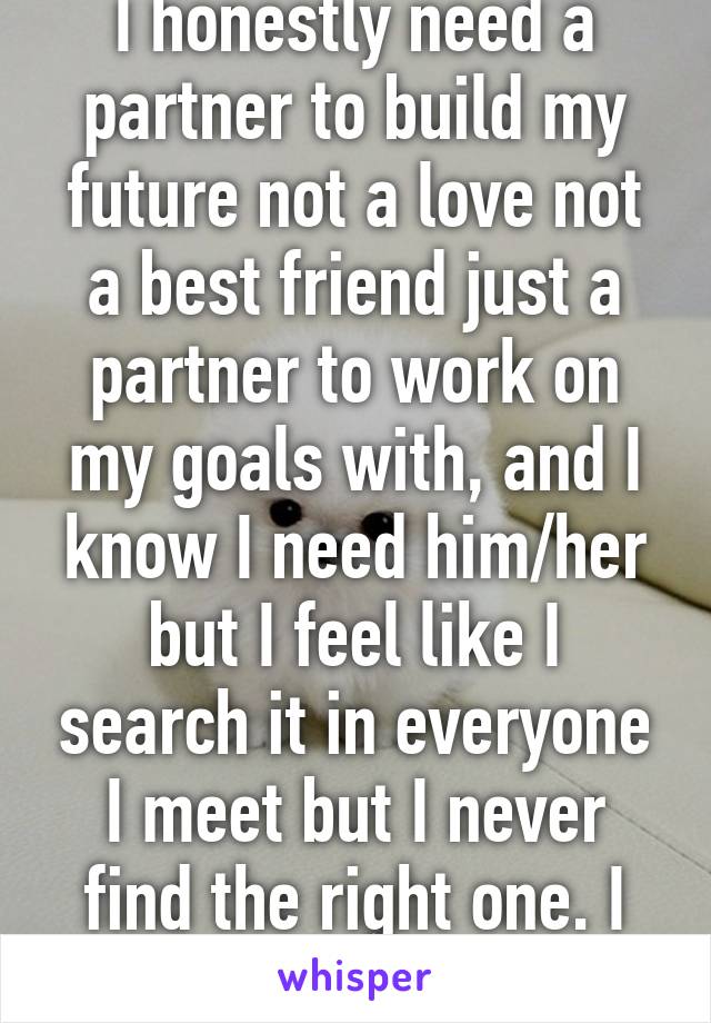 I honestly need a partner to build my future not a love not a best friend just a partner to work on my goals with, and I know I need him/her but I feel like I search it in everyone I meet but I never find the right one. I hate waiting 