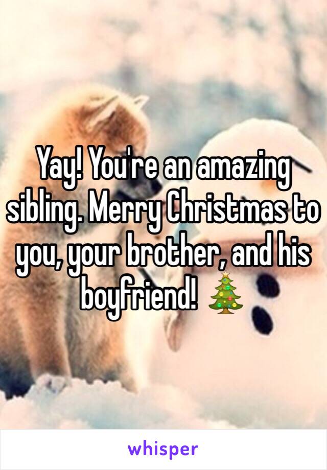 Yay! You're an amazing sibling. Merry Christmas to you, your brother, and his boyfriend! 🎄