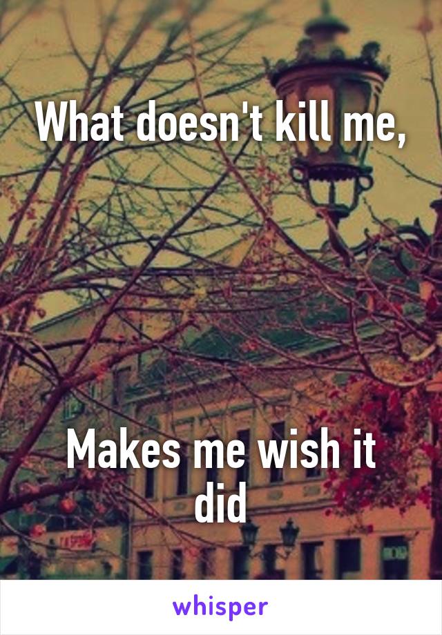 What doesn't kill me,





Makes me wish it did