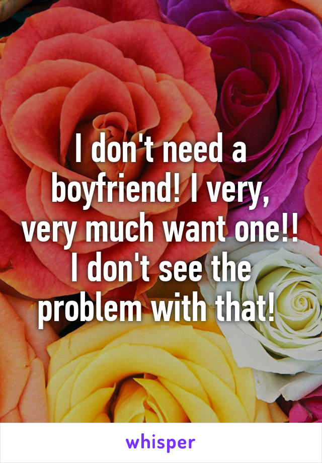 I don't need a boyfriend! I very, very much want one!! I don't see the problem with that! 