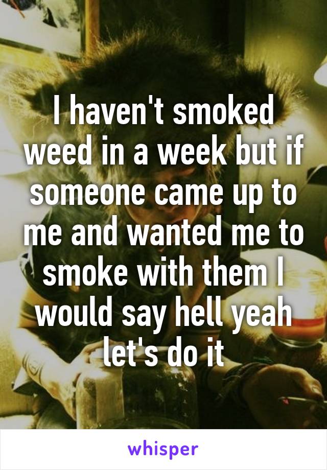 I haven't smoked weed in a week but if someone came up to me and wanted me to smoke with them I would say hell yeah let's do it