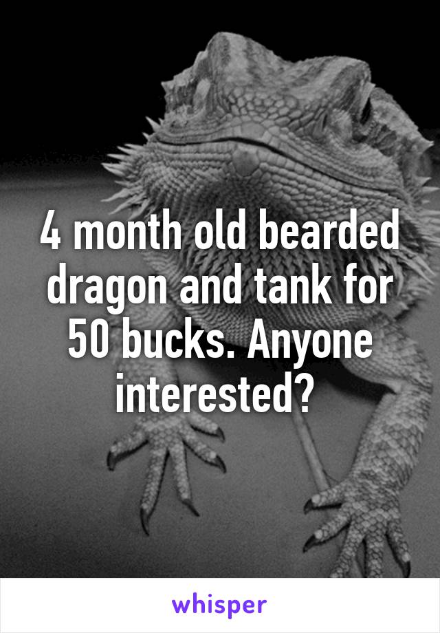 4 month old bearded dragon and tank for 50 bucks. Anyone interested? 