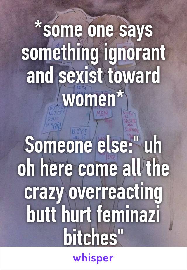 *some one says something ignorant and sexist toward women*

Someone else:" uh oh here come all the crazy overreacting butt hurt feminazi bitches"