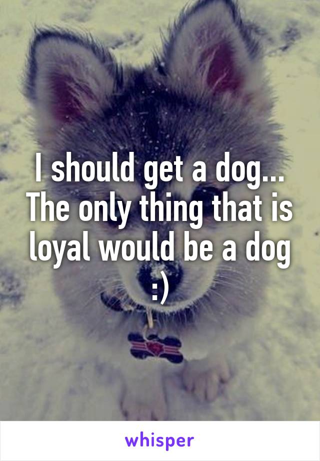 I should get a dog... The only thing that is loyal would be a dog :)