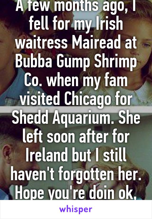 A few months ago, I fell for my Irish waitress Mairead at Bubba Gump Shrimp Co. when my fam visited Chicago for Shedd Aquarium. She left soon after for Ireland but I still haven't forgotten her. Hope you're doin ok, Mairead. :)