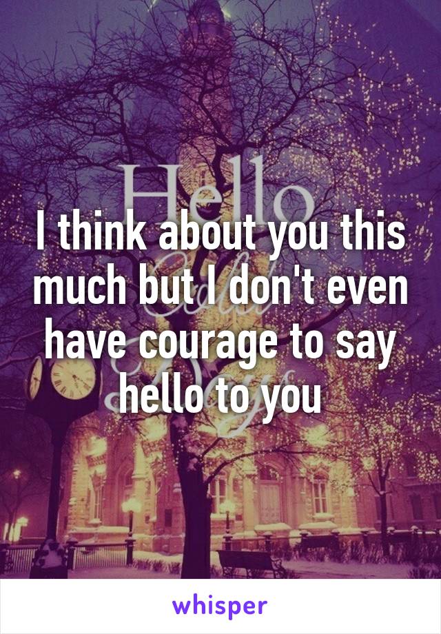 I think about you this much but I don't even have courage to say hello to you