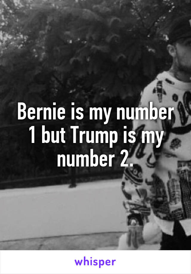 Bernie is my number 1 but Trump is my number 2.