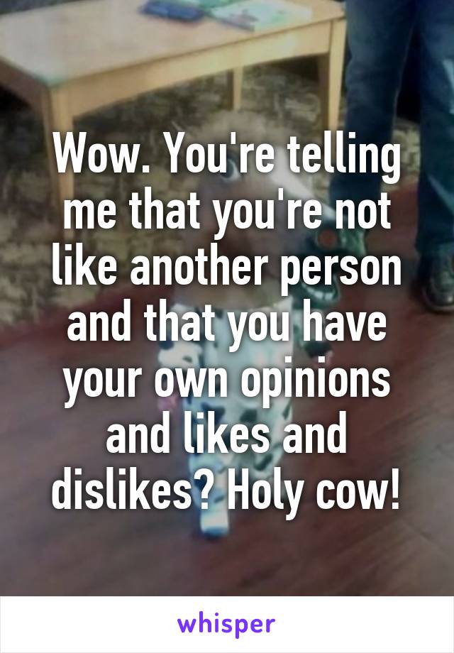 Wow. You're telling me that you're not like another person and that you have your own opinions and likes and dislikes? Holy cow!