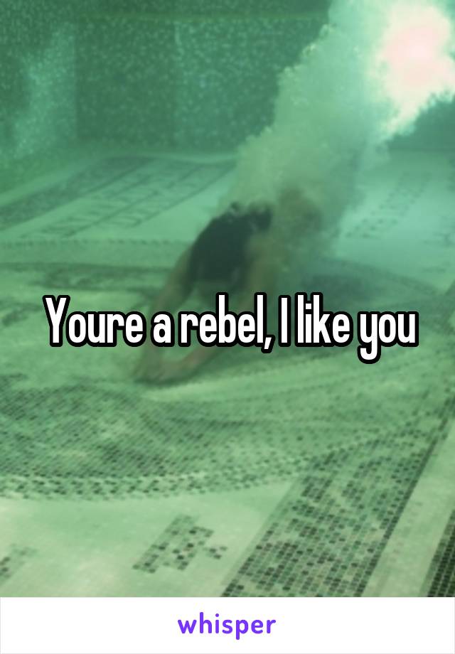 Youre a rebel, I like you