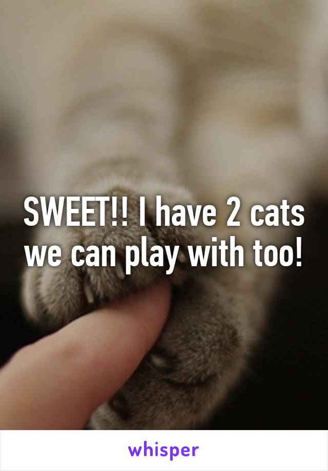 SWEET!! I have 2 cats we can play with too!