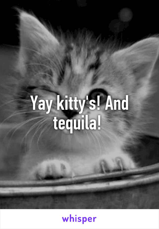 Yay kitty's! And tequila! 