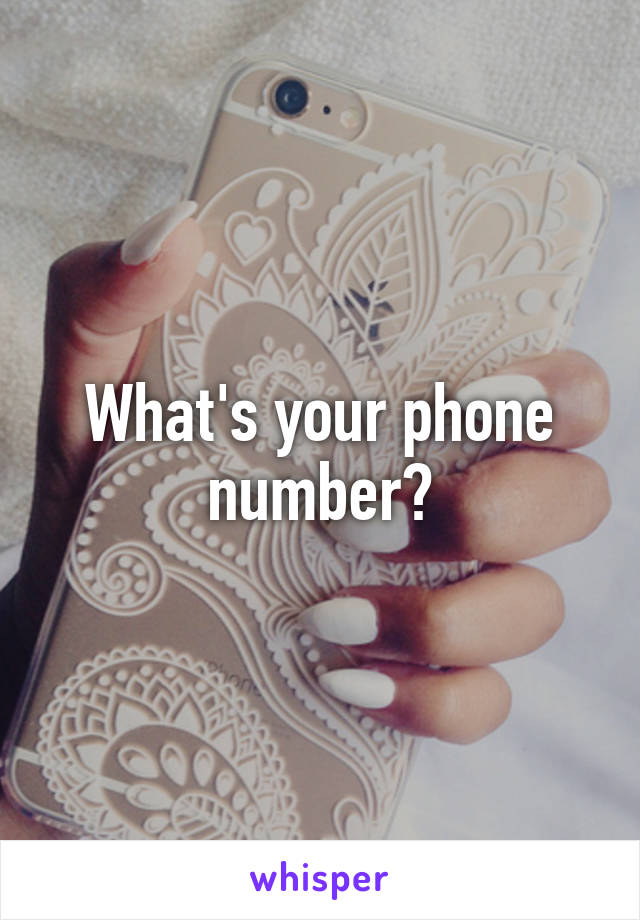 What's your phone number?