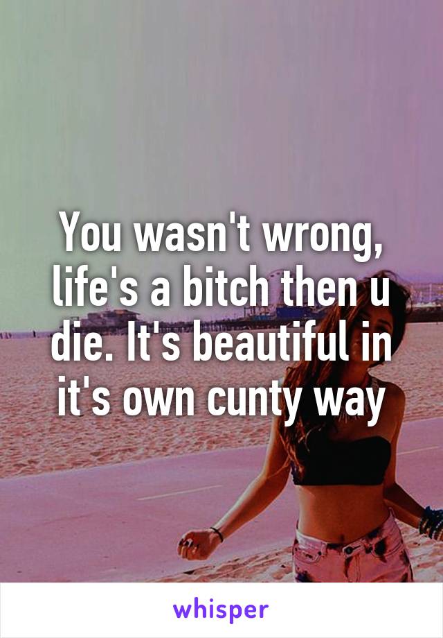 You wasn't wrong, life's a bitch then u die. It's beautiful in it's own cunty way