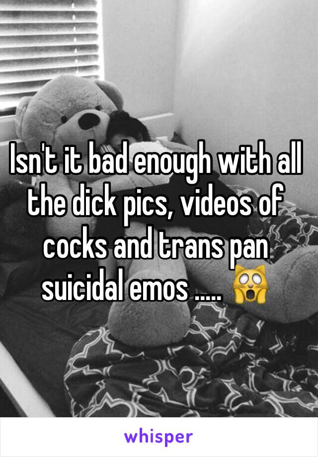 Isn't it bad enough with all the dick pics, videos of cocks and trans pan suicidal emos ..... 🙀