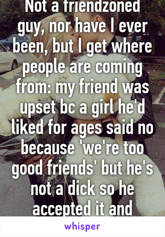 Not a friendzoned guy, nor have I ever been, but I get where people are coming from: my friend was upset bc a girl he'd liked for ages said no because 'we're too good friends' but he's not a dick so he accepted it and moved on