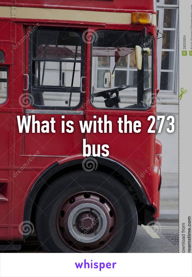 What is with the 273 bus