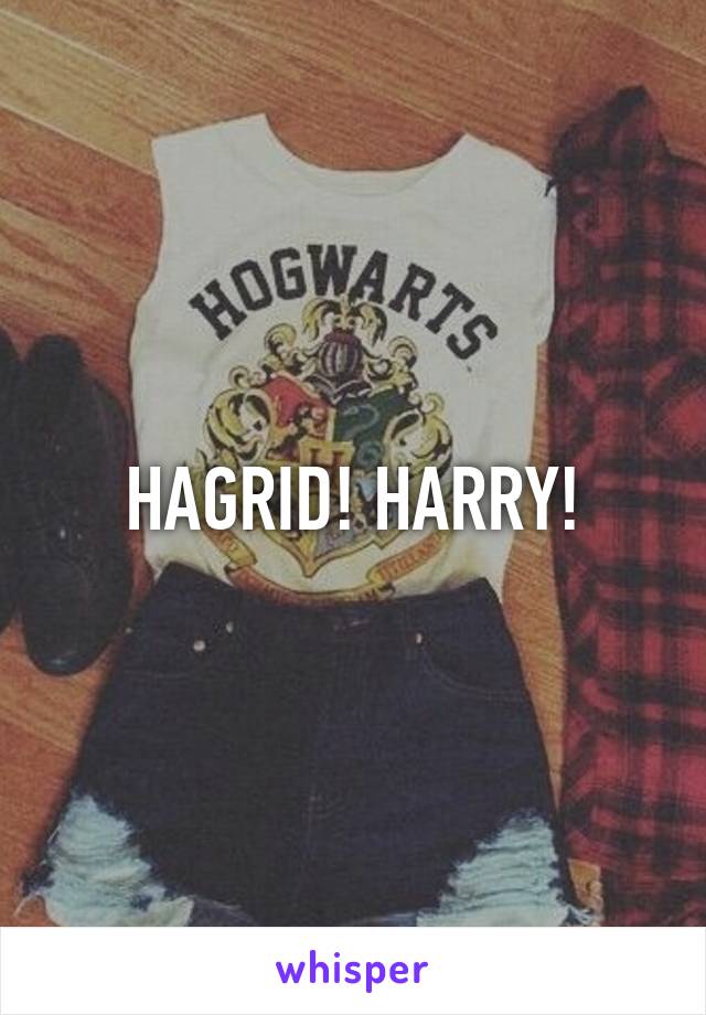 HAGRID! HARRY!