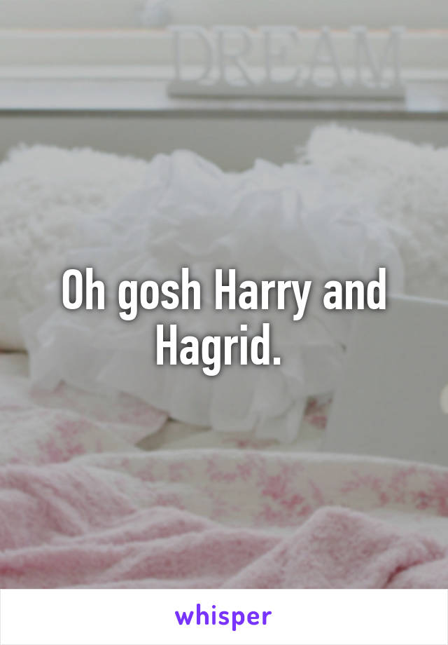 Oh gosh Harry and Hagrid. 