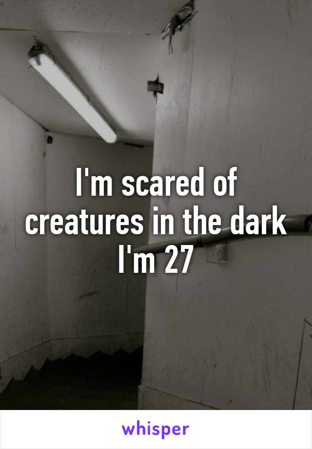 I'm scared of creatures in the dark
I'm 27