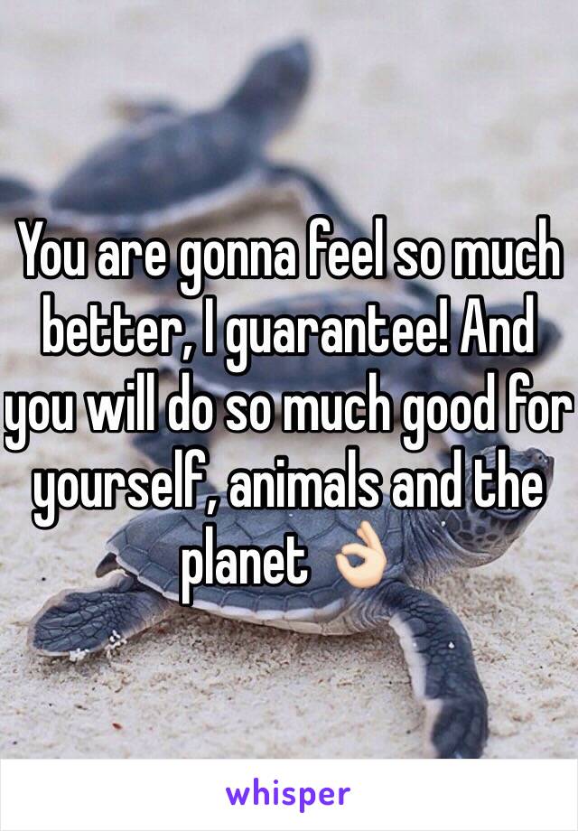 You are gonna feel so much better, I guarantee! And you will do so much good for yourself, animals and the planet 👌🏻