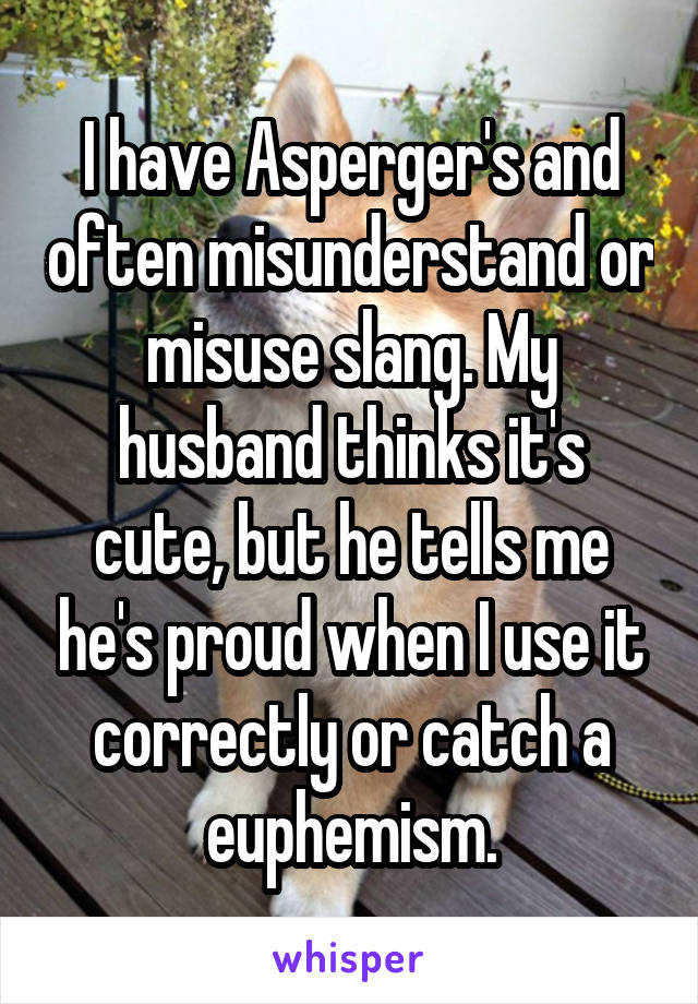 I have Asperger's and often misunderstand or misuse slang. My husband thinks it's cute, but he tells me he's proud when I use it correctly or catch a euphemism.