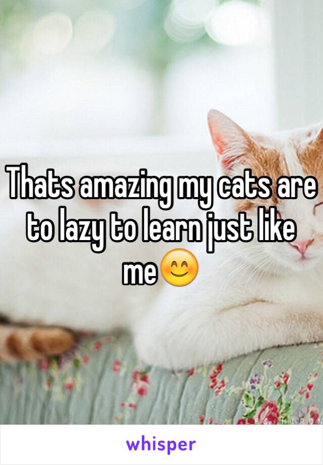 Thats amazing my cats are to lazy to learn just like me😊