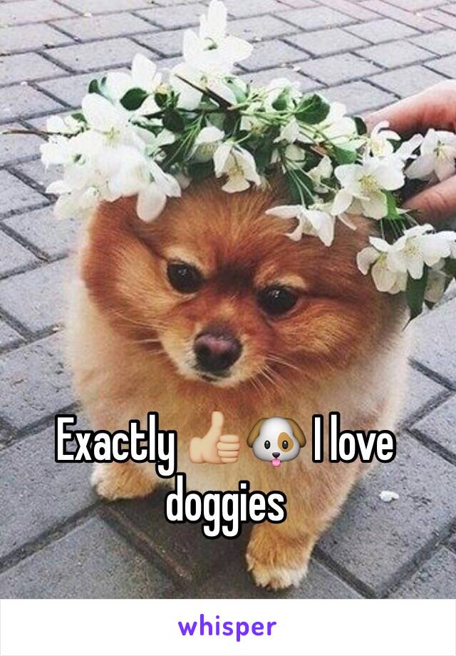 Exactly 👍🏼🐶 I love doggies